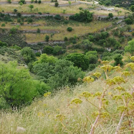 Serenity Boutique House Villa *