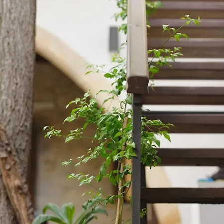 빌라 Serenity Boutique House Vouni