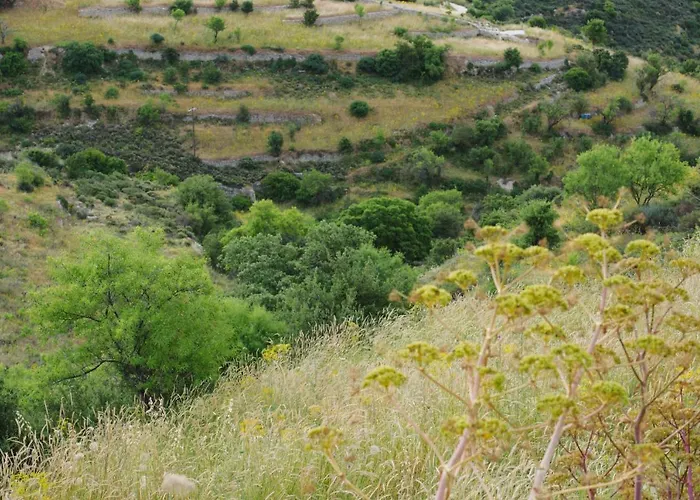 Serenity Boutique House Willa *