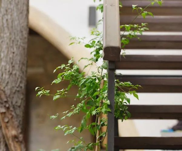 Willa Serenity Boutique House Vouni